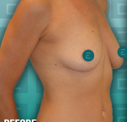 fatrans2-copy-420x465